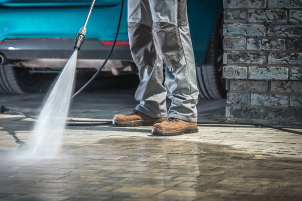 Best Rust Removal  in Franklin Grove, IL